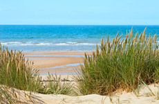 La douceur de vivre sur l'ile d'Oléron en Charente Maritime 17